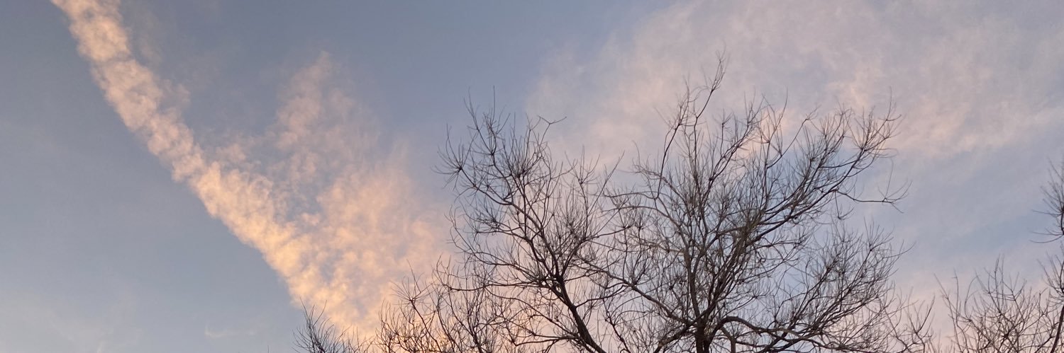 ilenianf's profile banner image