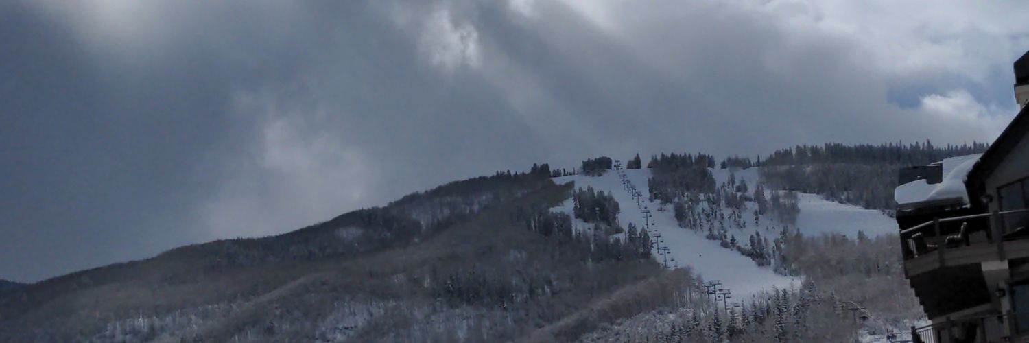 vikes2829's profile banner image