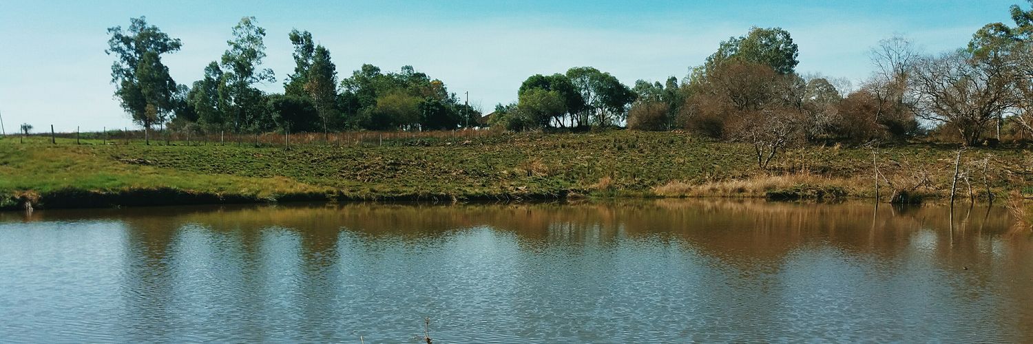 alez0n4's profile banner image