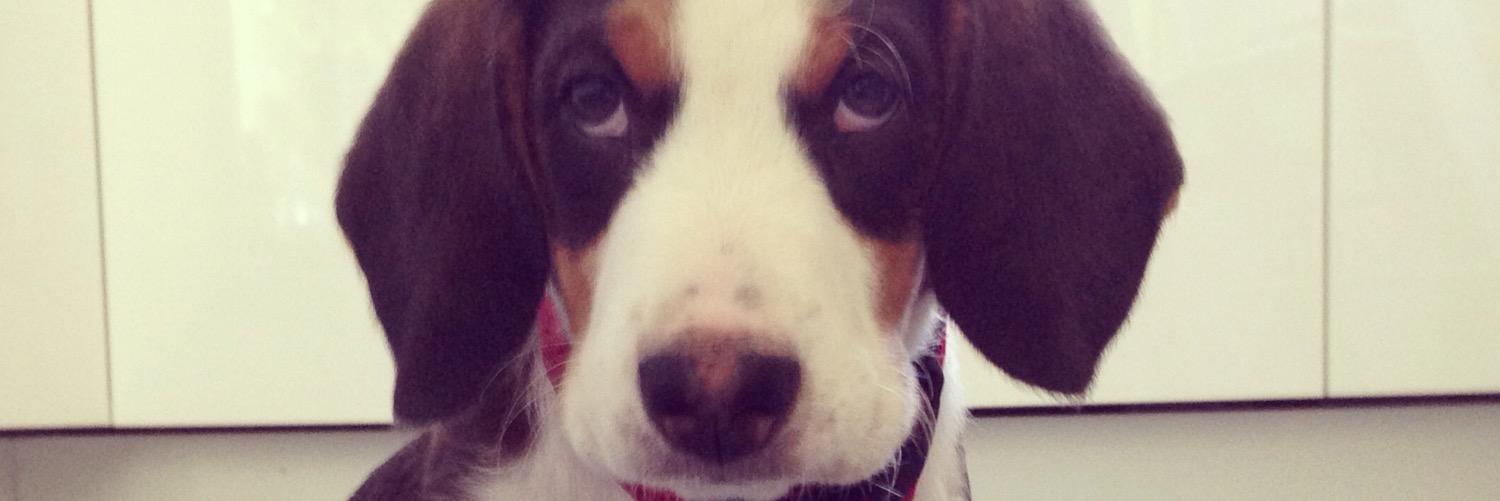 Hampus Jonsson banner