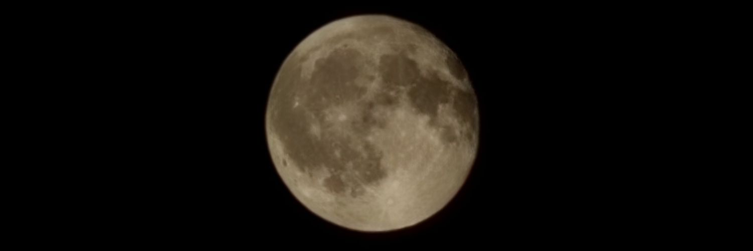 zzyzzy1r's profile banner image