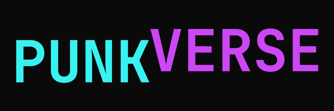 Punkverse World banner
