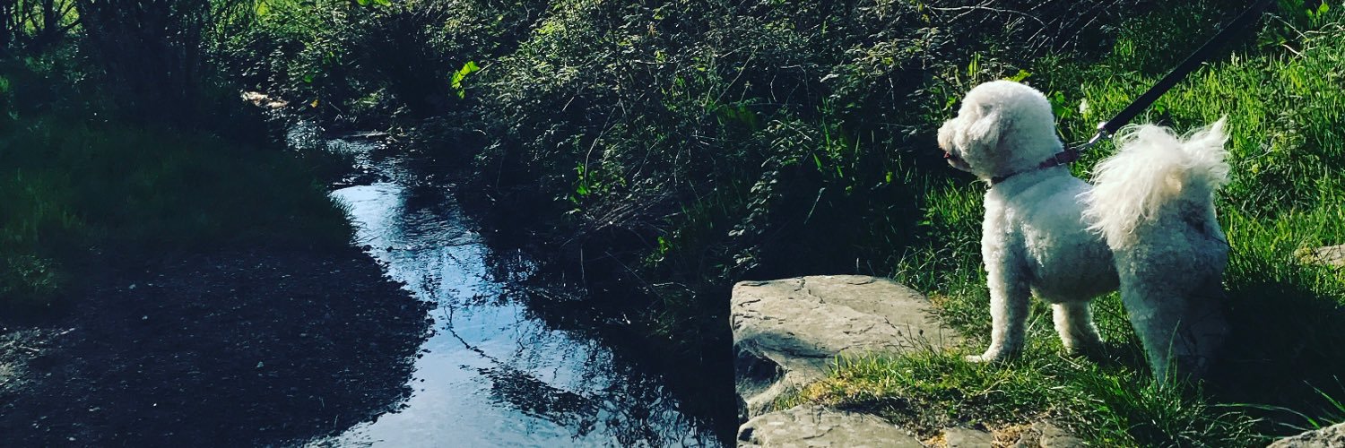 robsutcliffe7's profile banner image