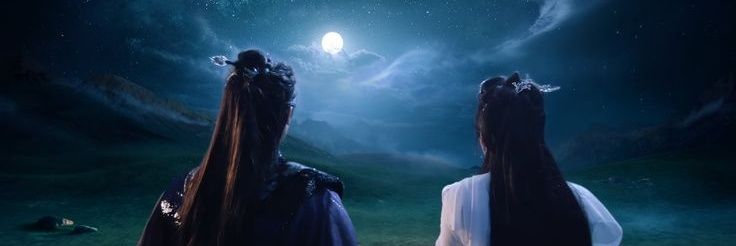 ruruuu🐋 banner