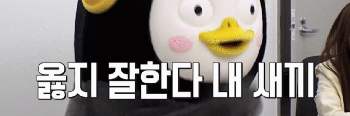 단이 banner