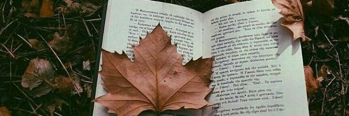 _autumn_nerd_'s profile banner image