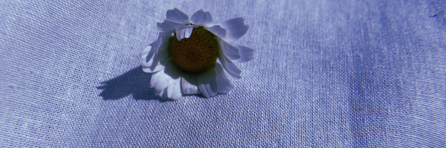 realshadow banner