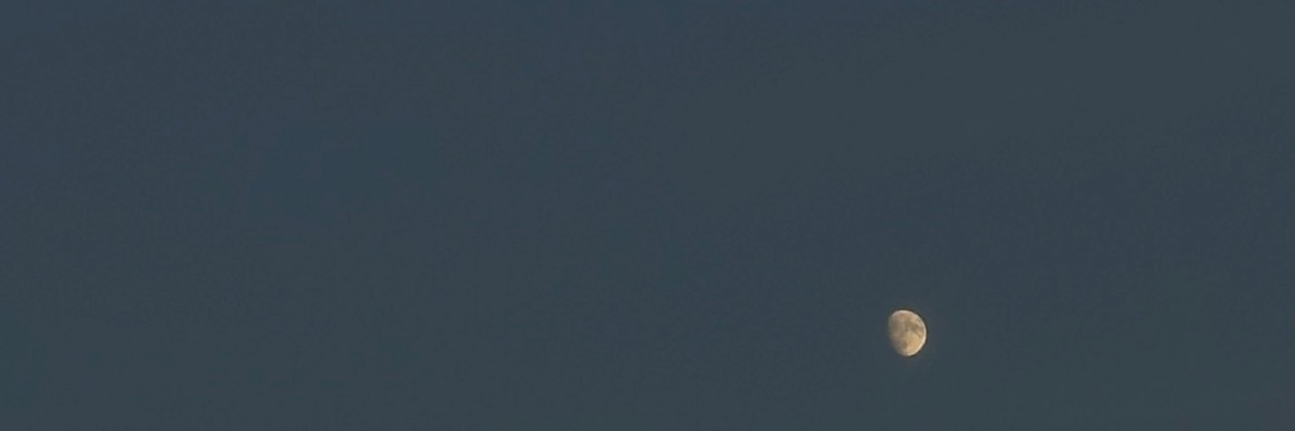 brianmdunn_'s profile banner image