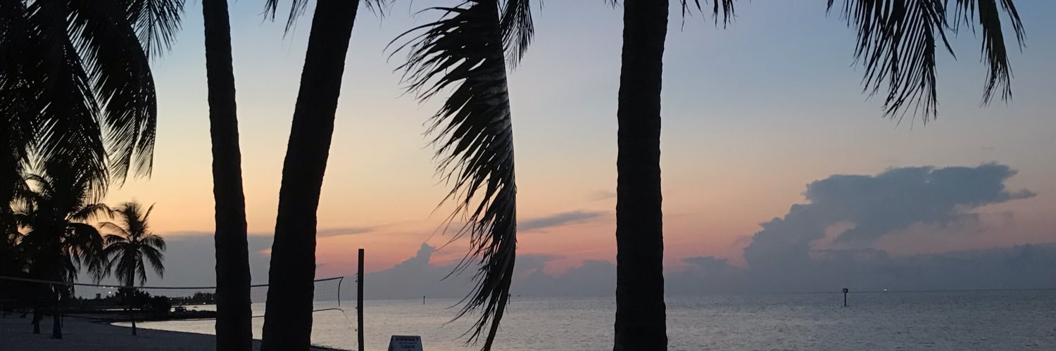 maddyyeates's profile banner image