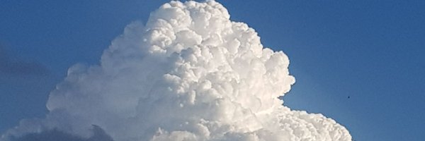 SuzanneRodd Profile Banner