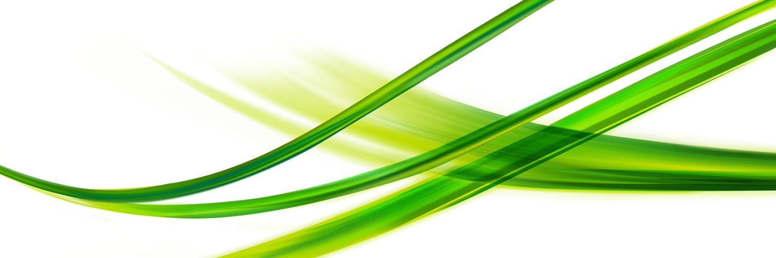 BCSNLB's profile banner image