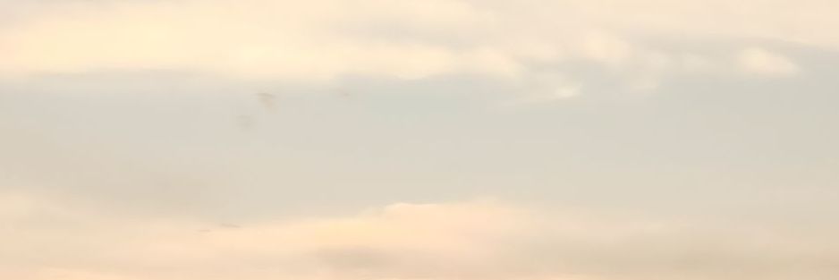akib54581's profile banner image