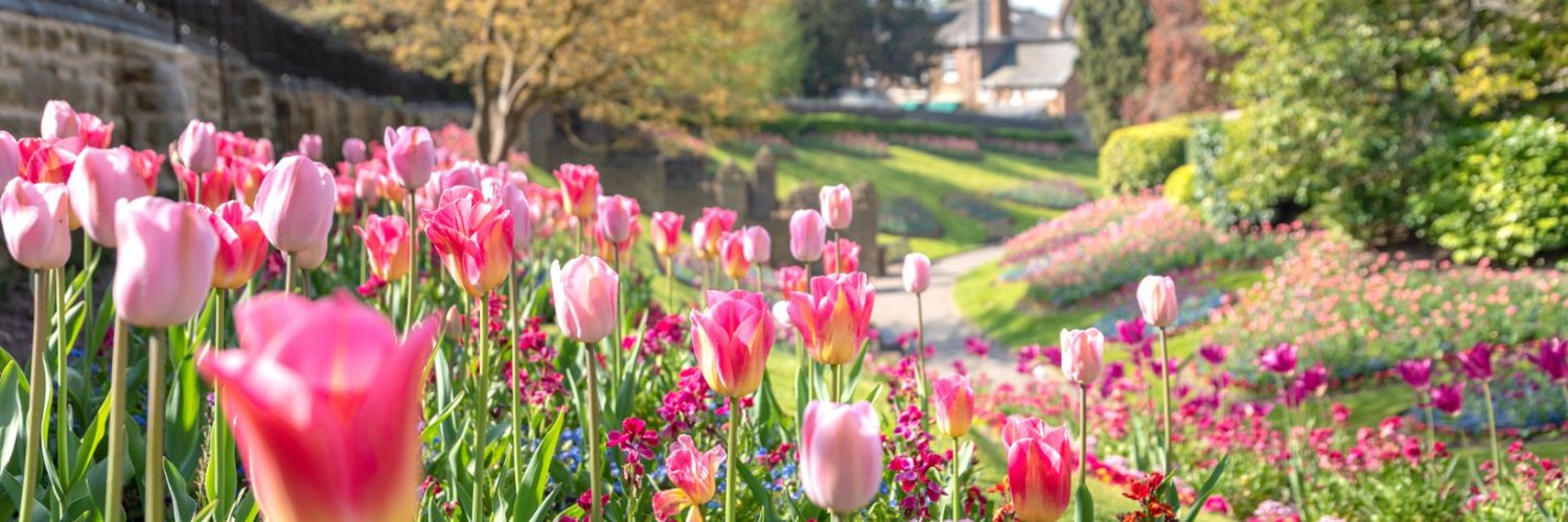 Guildford Borough Council banner