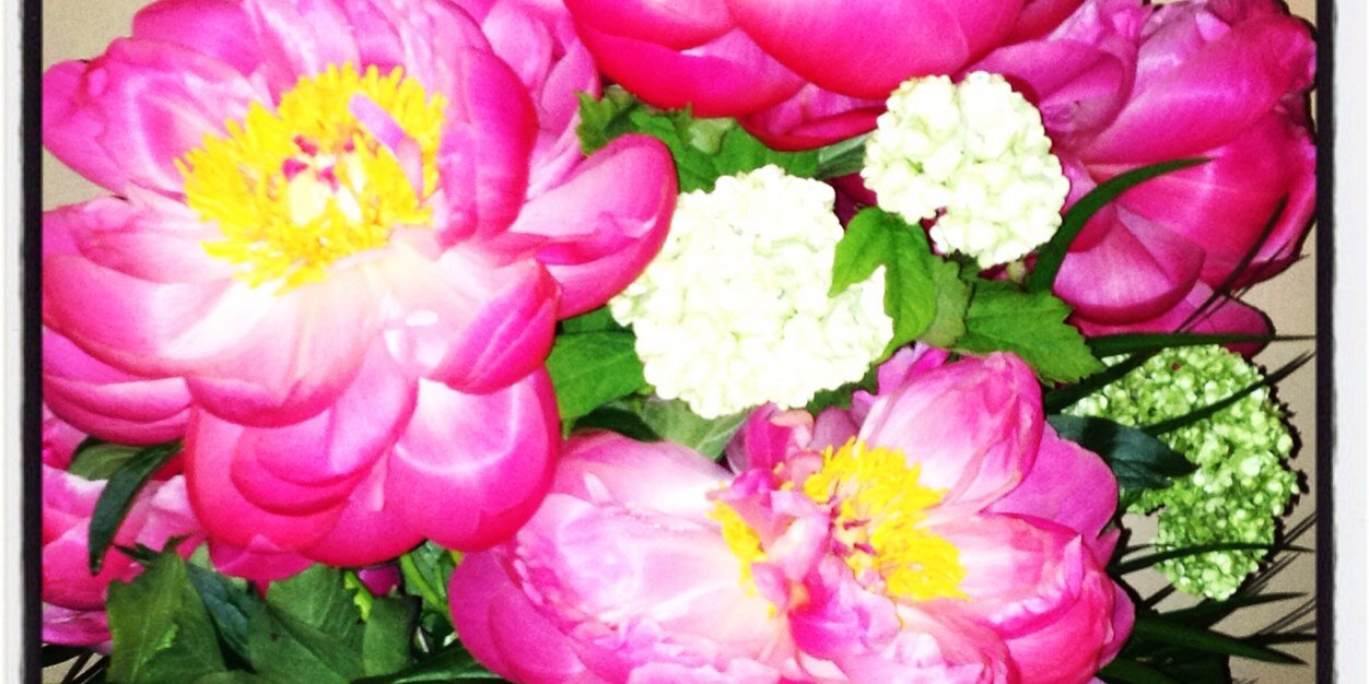 C_V_Smith's profile banner image