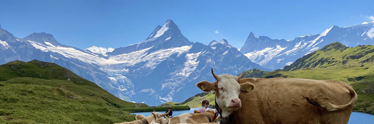 Toomas01's profile banner image