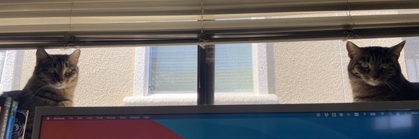 nishamody Profile Banner