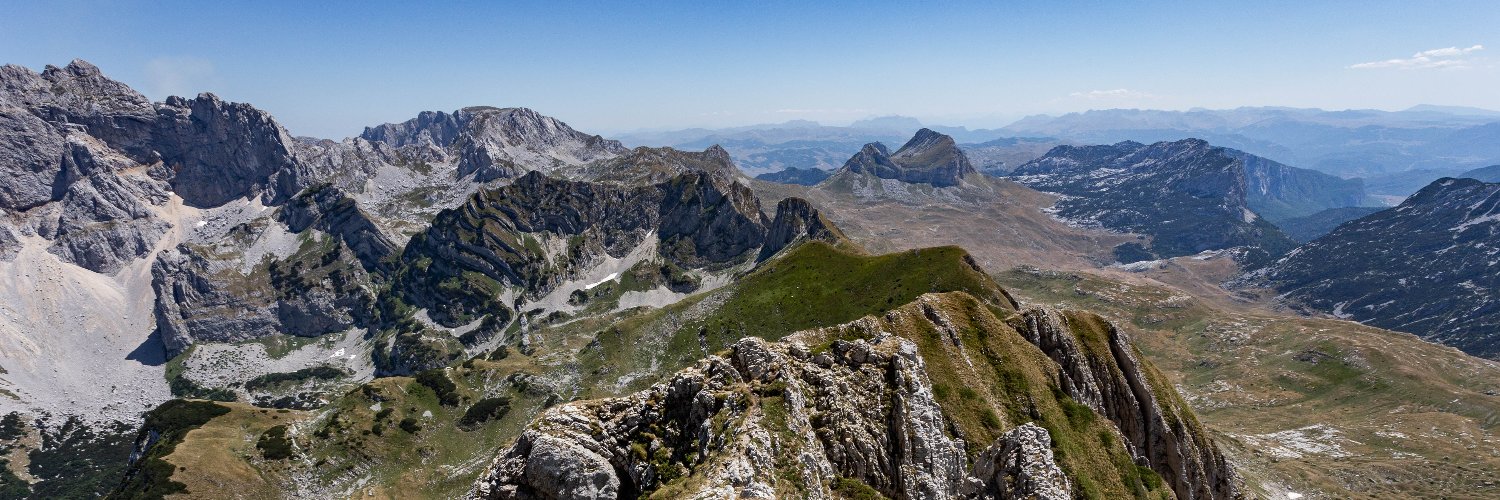 Dragana Bojović banner
