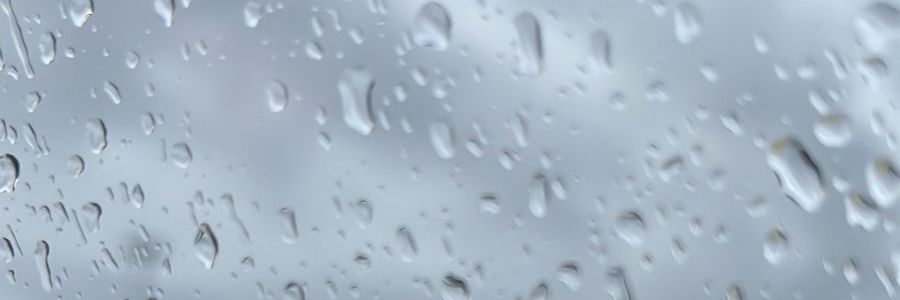 Raii𝓯𝓻𝓮𝓪𝓴𝔂 🍉 banner