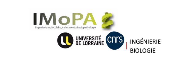 IMoPA_lab Profile Banner