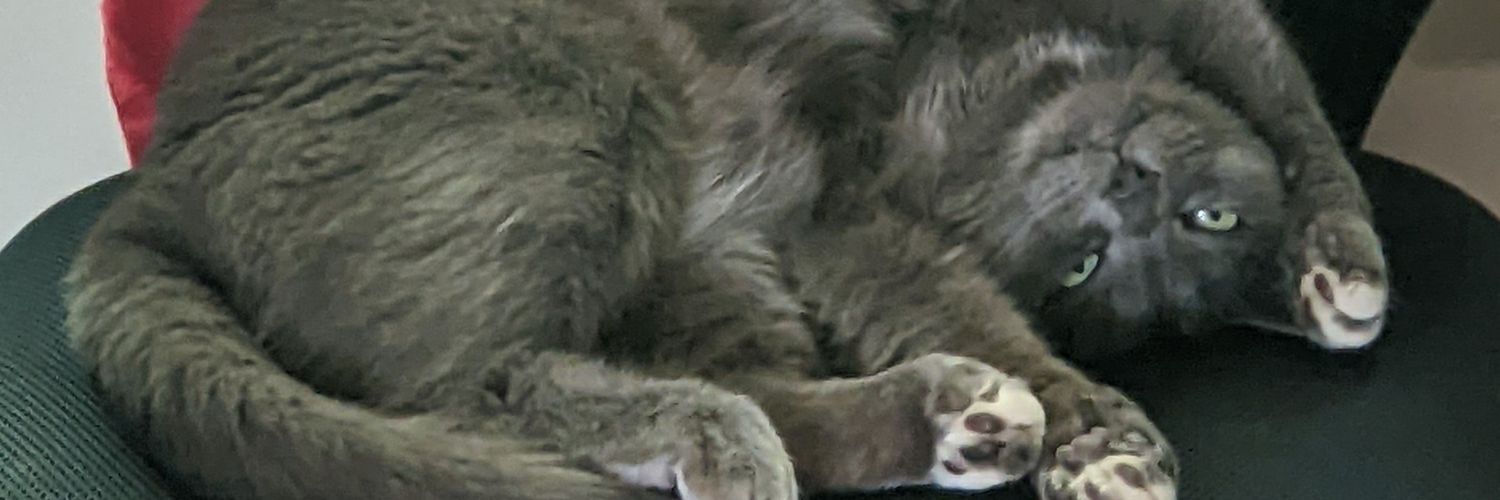 jennmaed's profile banner image