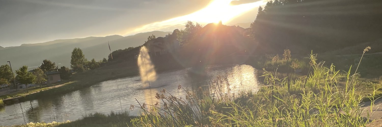 Doestrid's profile banner image