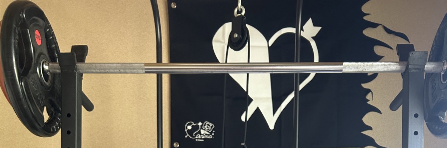 🏴‍☠️しゅん🏴‍☠️一味 【宝鐘海賊団筋トレ部】 banner