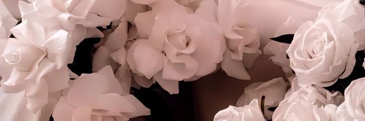 Rosllenn's profile banner image