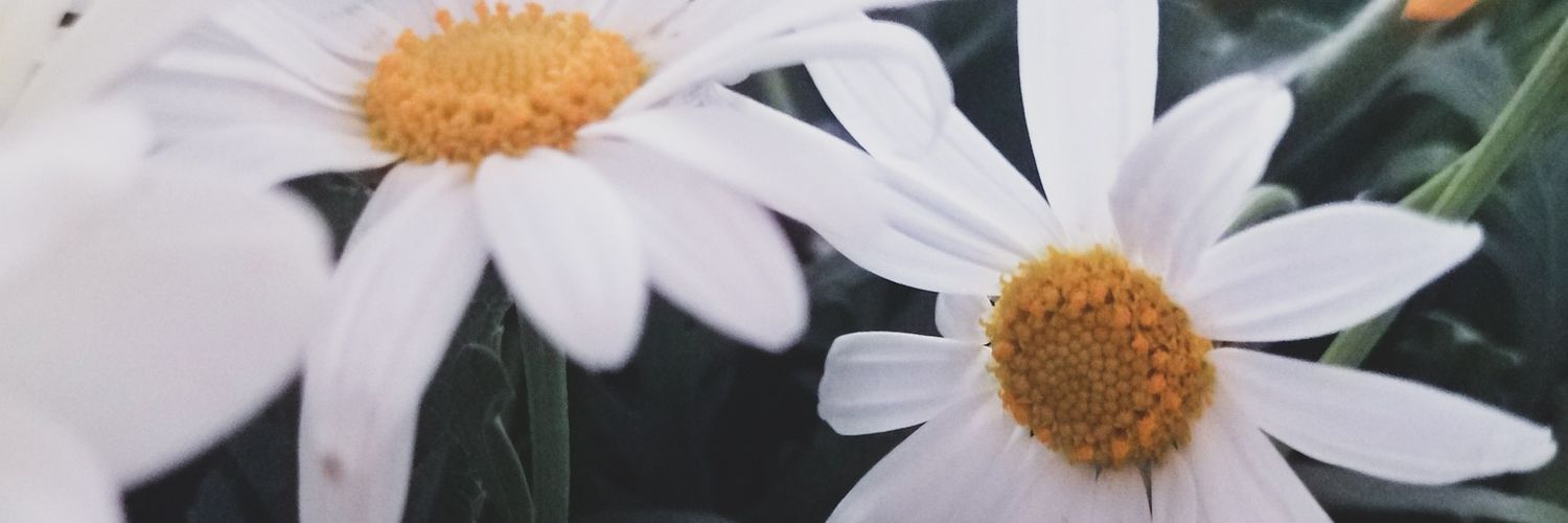 CaptainEmele's profile banner image