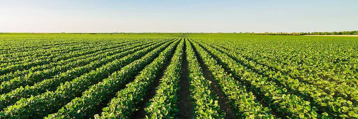 Malcolm Parker banner