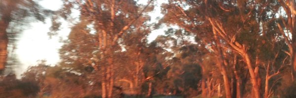 mooremadelainef Profile Banner