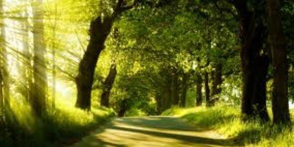 kamlesh_here's profile banner image