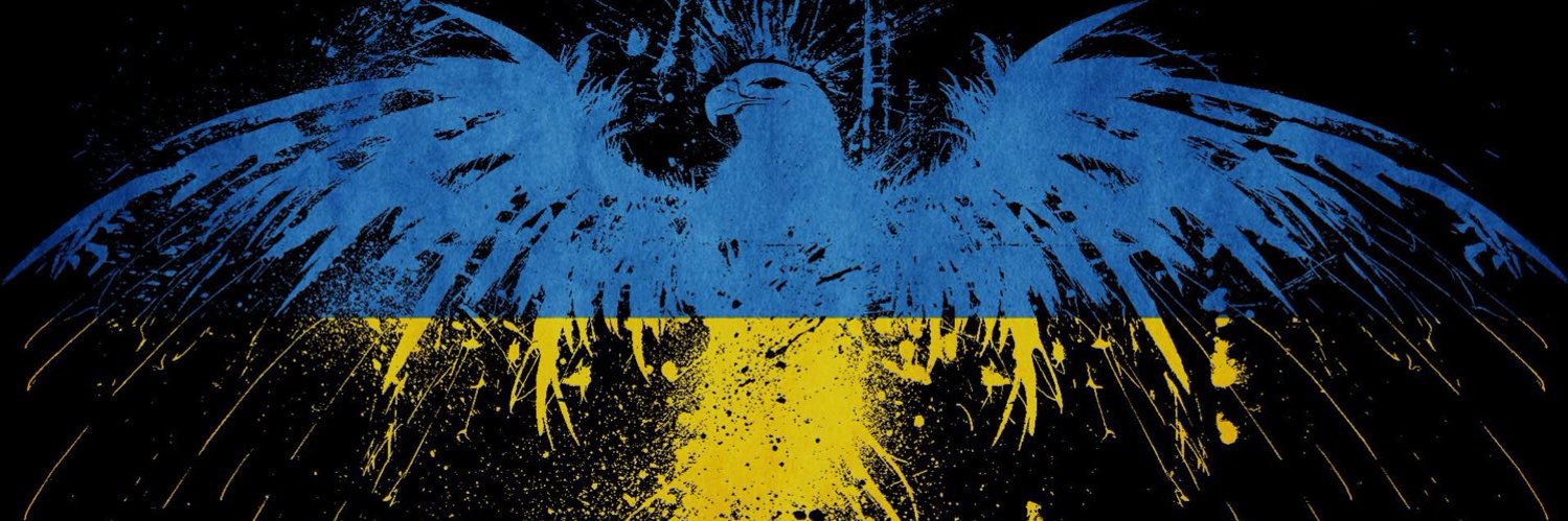 ImmZimm's profile banner image