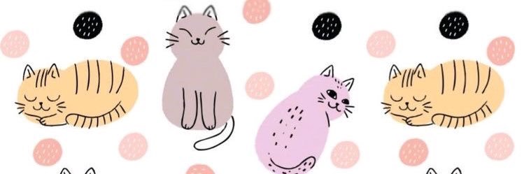 nabilawss's profile banner image