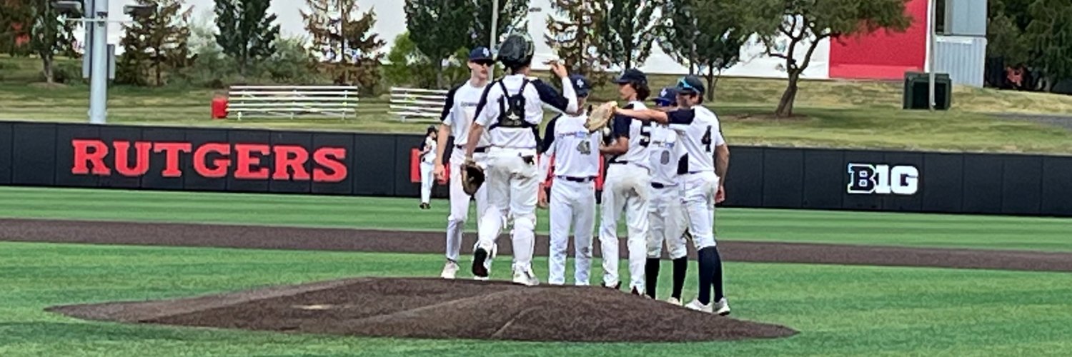 Spring Ford Baseball Club banner
