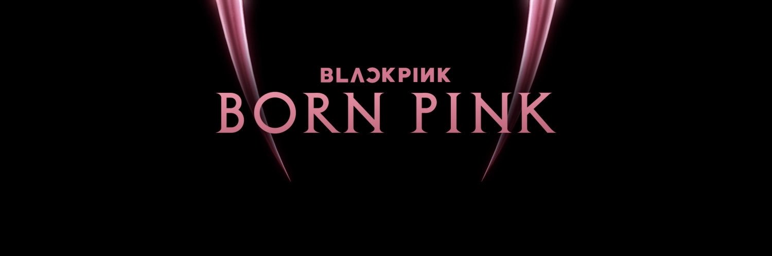 blackpinksbitxh's profile banner image