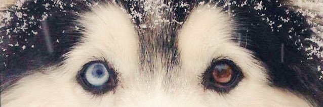 GDBeamer's profile banner image
