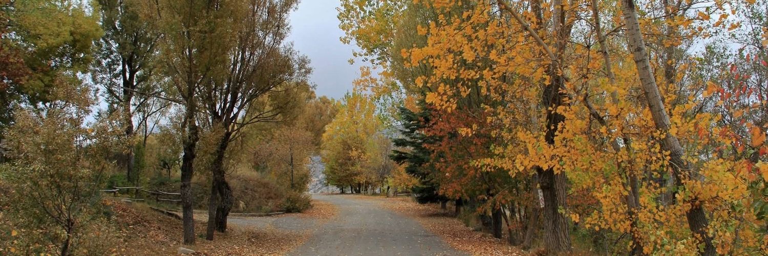 Saadeh - يوسف سعادة banner