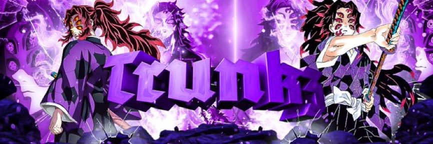 TrunkⱫ banner