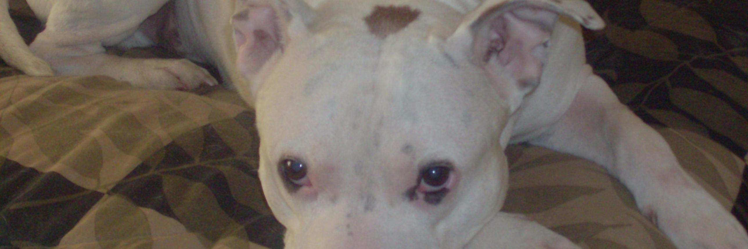 BezansonMan's profile banner image