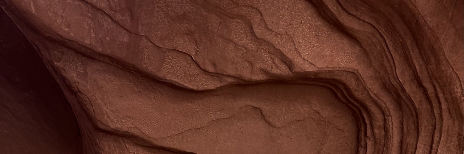 Gina banner