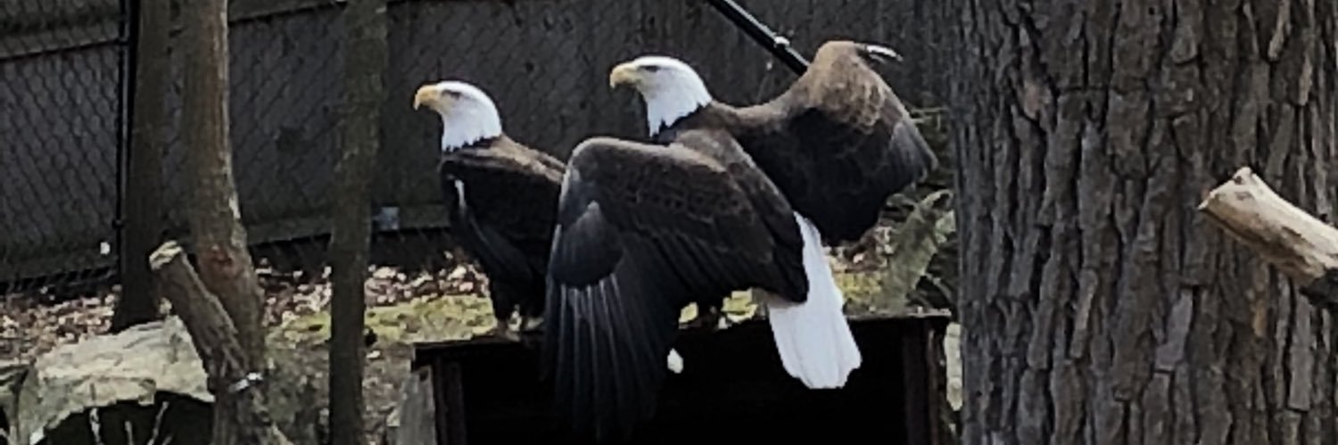 Smc5310's profile banner image