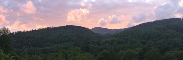 EcoWeeks Profile Banner