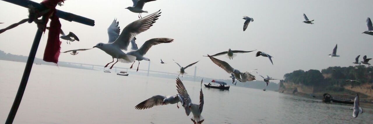 बकैत इलाहाबादी banner