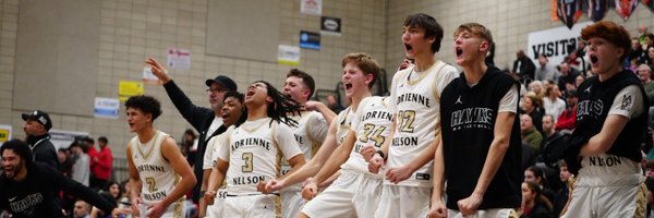 NelsonMensBBall Profile Banner