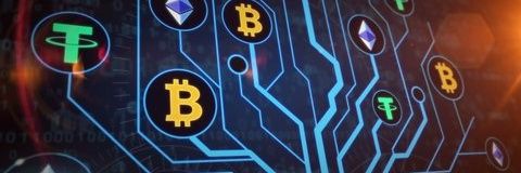 🇬🇧 🚀aunch The Crypto Dog 🏴󠁧󠁢󠁥󠁮󠁧󠁿 banner