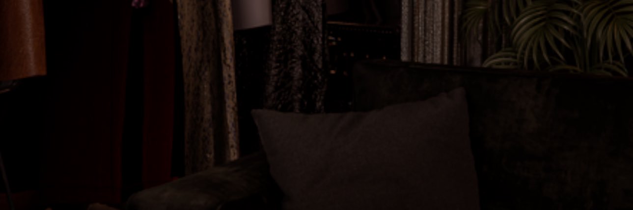 Xavier (hiatus)'s banner