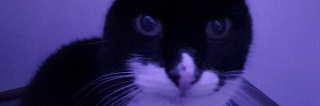 glucosewarrior's profile banner image
