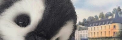 andjereb's profile banner image