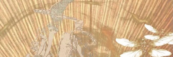 semaclsn's profile banner image