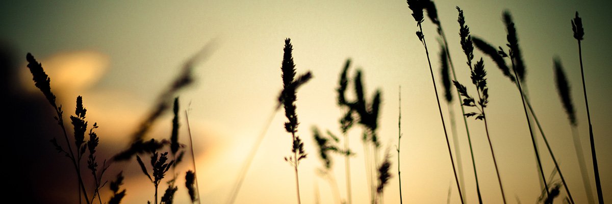 inda_fanny's profile banner image